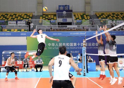 成人发球教学视频,跟随教学视频轻松提升发球水平