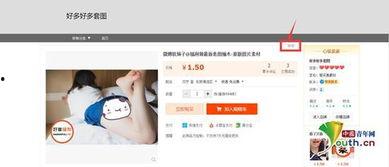 成人官网视频官网,视频盛宴背后的精彩故事