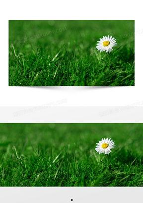 成人护眼视频素材,点亮睛彩人生——成人护眼视频揭秘