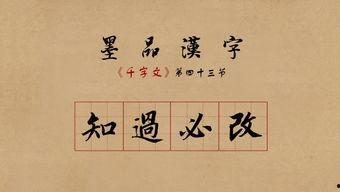 成人学硬笔书法视频,跟随视频轻松掌握书法艺术