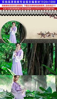 成人弹古筝风景视频素材,山水画卷——成人弹奏古筝风景视频赏析