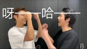 成人尖叫声素材视频,惊悚视频解析