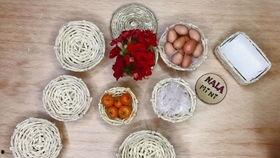 成人果壳手工制作视频,果壳变身的创意手工制作之旅