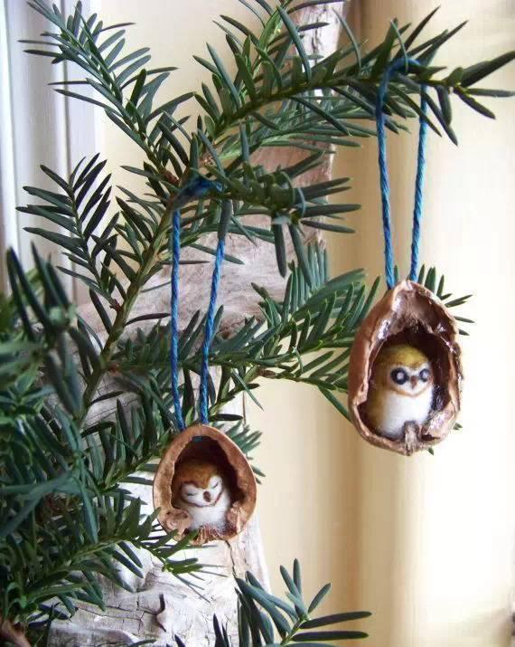 成人果壳手工制作视频,果壳变身的创意手工制作之旅