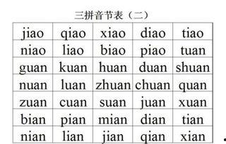 成人学拼音音节视频,成人学拼音音节视频教程概览
