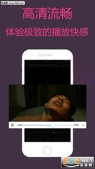 成人有无码图片视频下载,码图与无码视频的灰色地带