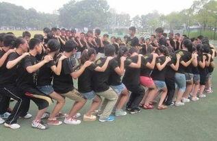 成人团建运动比赛视频