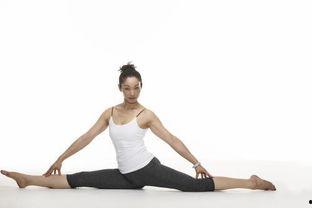 成人劈叉视频教程大全,成人劈叉教程大全