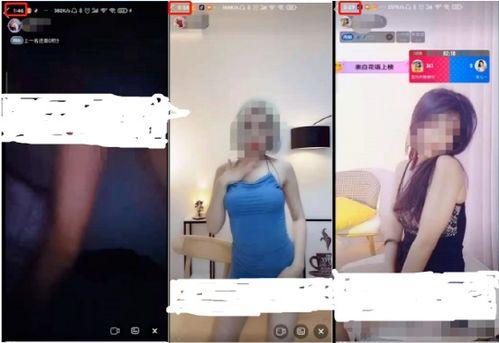 成人练功视频在线观看,轻松入门健身养生之道